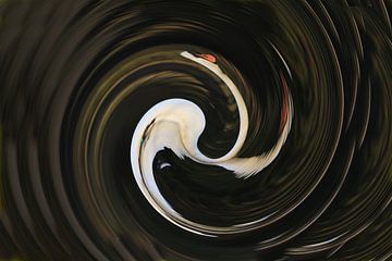 Verdraaide witte knobbel zwaan ronde vorm abstracte kunst van Bobsphotography
