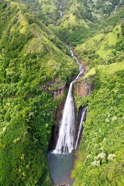 Jurassic Falls von Dirk Rüter