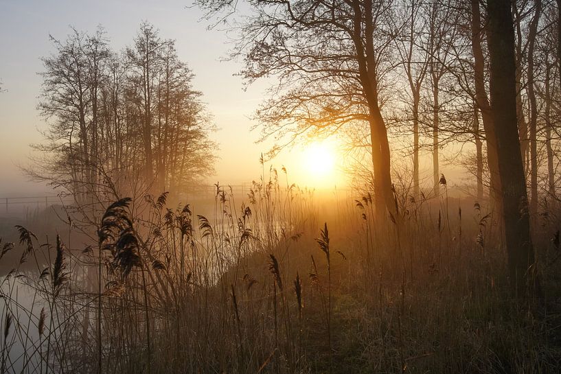 Mornings by Dirk van Egmond