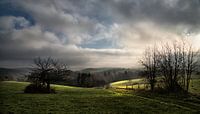 Ochtend in de Eifel