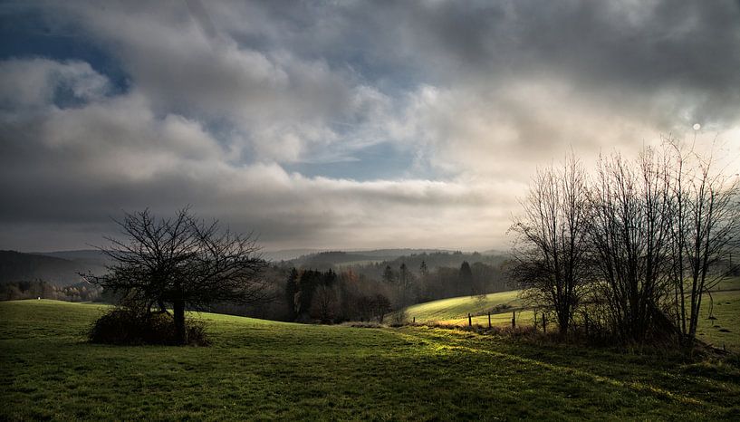 Le matin dans l'Eifel par Dieter Beselt