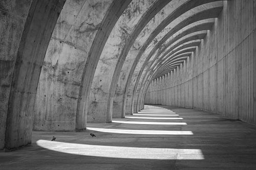 Gebogene, sich wiederholende Formen in Beton