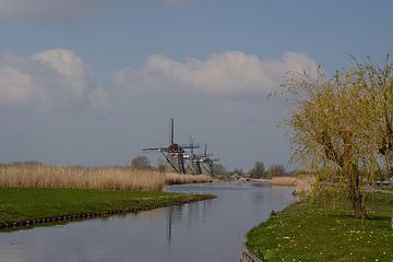 Drie molens van Rosenthal fotografie