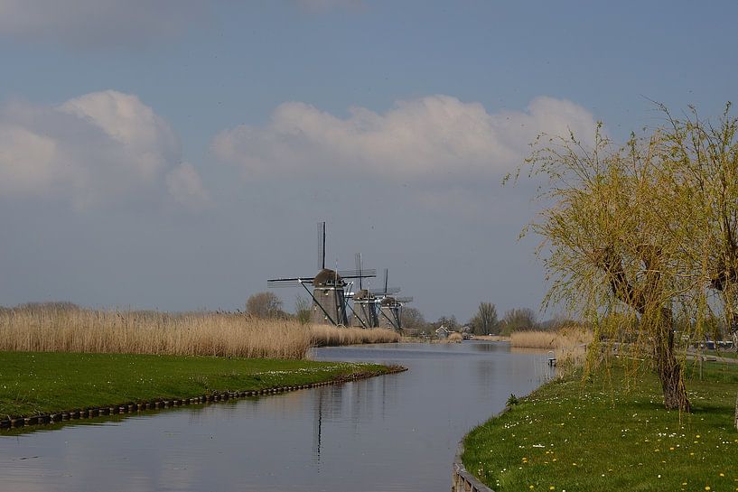 Three mills by Rosenthal fotografie