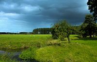 De appelboom