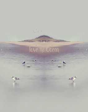 LOVE the OCEAN IV, HF