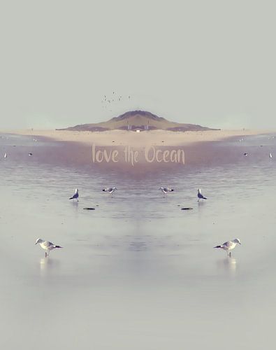 LOVE the OCEAN IV, HF