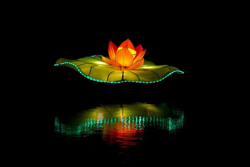 Lotusbloem van licht par Ton van Buuren