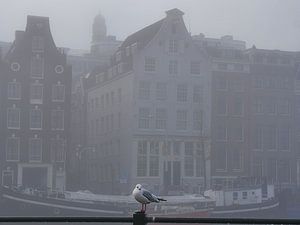 La mouette