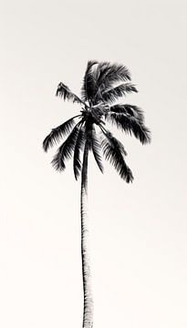 Minimalistische Zwart-Wit Palmboom Kunst van Surreal Media