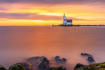 Horse of Marken sunrise