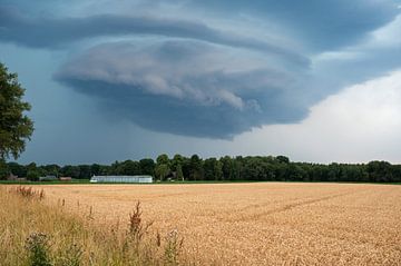 Golden wheat fields and thunderstorms by Werner Lerooy