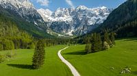 Zgornje Jezersko vallei in Slovenië van boven gezien in de lente van Sjoerd van der Wal Fotografie thumbnail