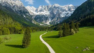 Vue aérienne de la vallée de Zgornje Jezersko au printemps sur Sjoerd van der Wal Photographie