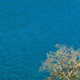 De Middellandse zee bij Portofino in Italië. van André Blom Fotografie Utrecht