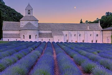 Zonsopkomst met lavendel bij de Abdij van Sénanque, Frankrijk van Henk Meijer Photography