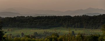 Twilight in the Maramures