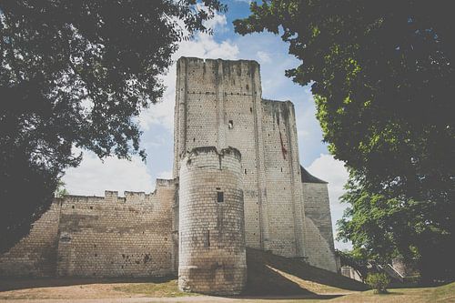 Kasteel en donjon van de Franse stad van Loches