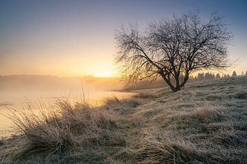 Harz april weer van Steffen Henze