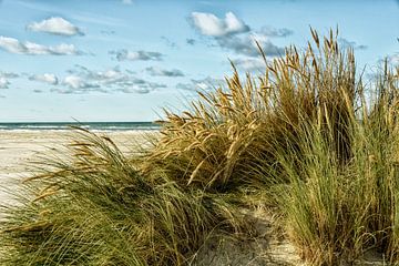 Strand van Denemarken