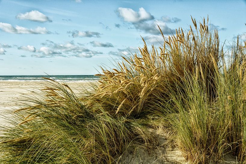 Strand von Dänemark von Claudia Moeckel