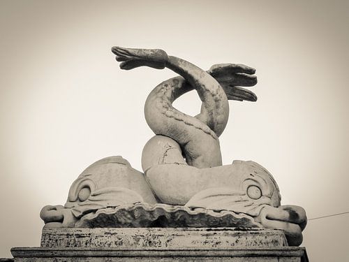 Entwined dolphins