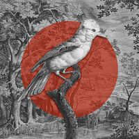 Jay Bird