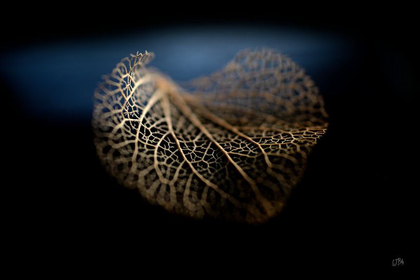 Still life of autumn by BILAS