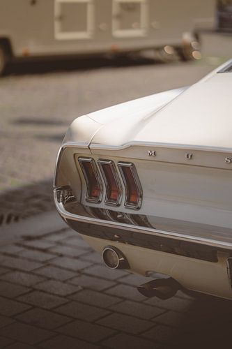 White Ford Mustang Fastback