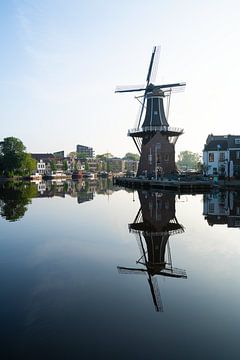 Adriaan molen Haarlem