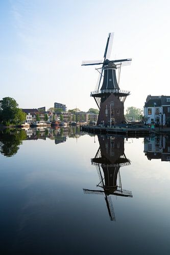 Adriaan mill Haarlem