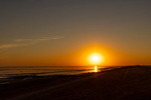 Wadden Sea, sunrise at Paesens Moddergat behind the dike