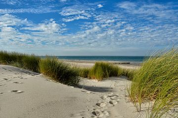 strand van Renesse van Claudia Moeckel
