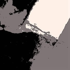 Organic 15  | Muted Neutral & Black Abstract by Menega Sabidussi