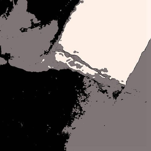 Organic 15 | Gedempt Neutraal & Zwart Abstract