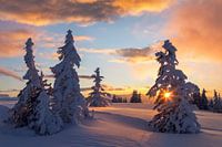 Cold Winter Sunset