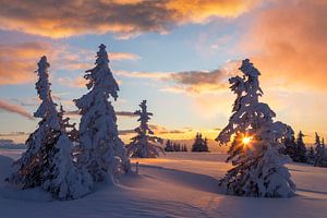 Winterlicher Sonnenuntergang