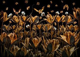 Honey nut sur Olaf Bruhn