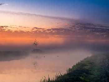 Morning in the polder