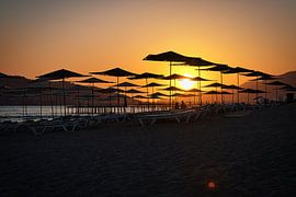 Das Sonnensol von Yousri Opmeer