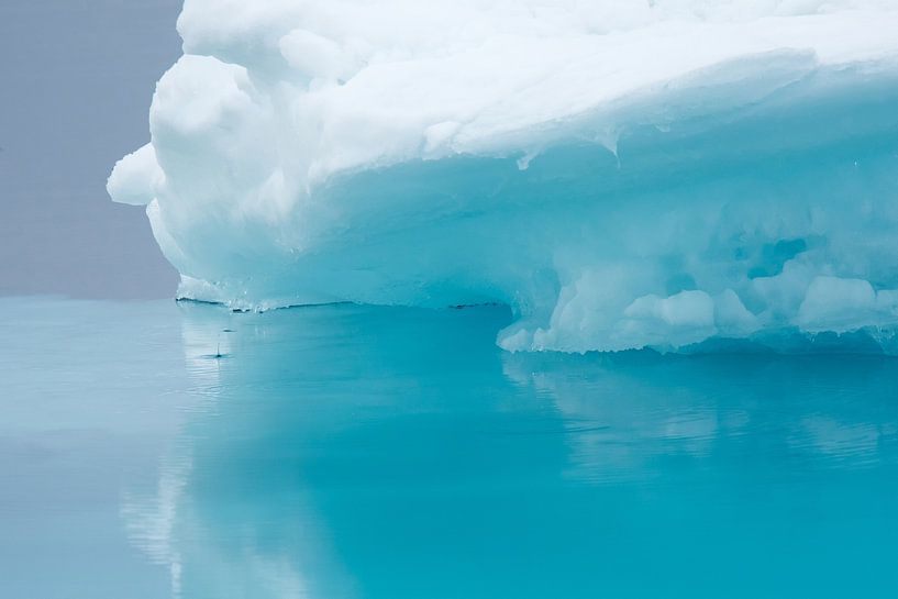 THE ARCTIC par Ria de Heij