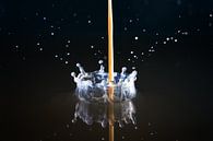 Witte kroon van Dennis van de Water thumbnail