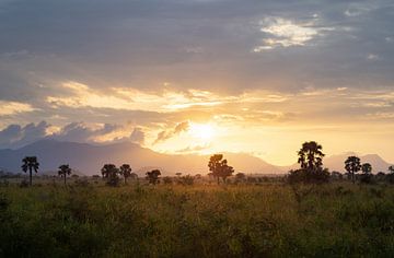 Zonsondergang in Kidepo, Oeganda van Teun Janssen