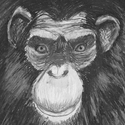 Crayon primate in black and white
