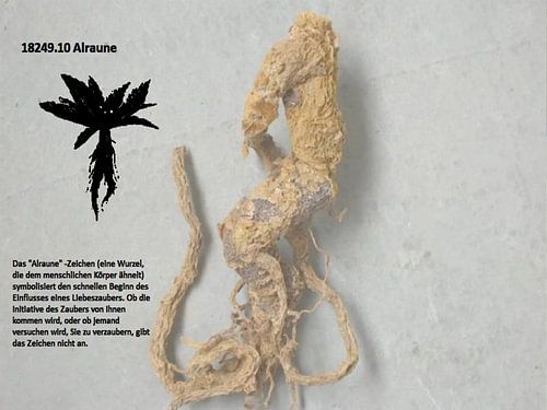 Mandrake 18249.10