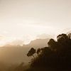 Sonnenaufgang Khao Sok-Nationalpark | Thailand Asien von Wianda Bongen