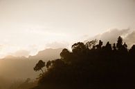 Zonsopgang Khao Sok national park | Thailand Azië van Wianda Bongen thumbnail