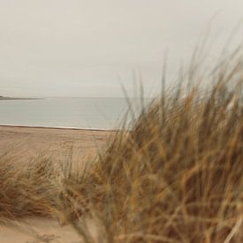 The beach of Renesse, Zeeland by Veri Gutte