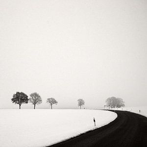 Winterliche Landstrasse