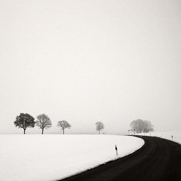 Winterliche Landstrasse von Lena Weisbek
